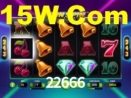 22666.com