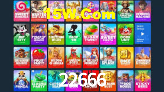 Premium Interface 22666