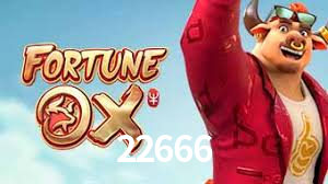 22666,22666.com